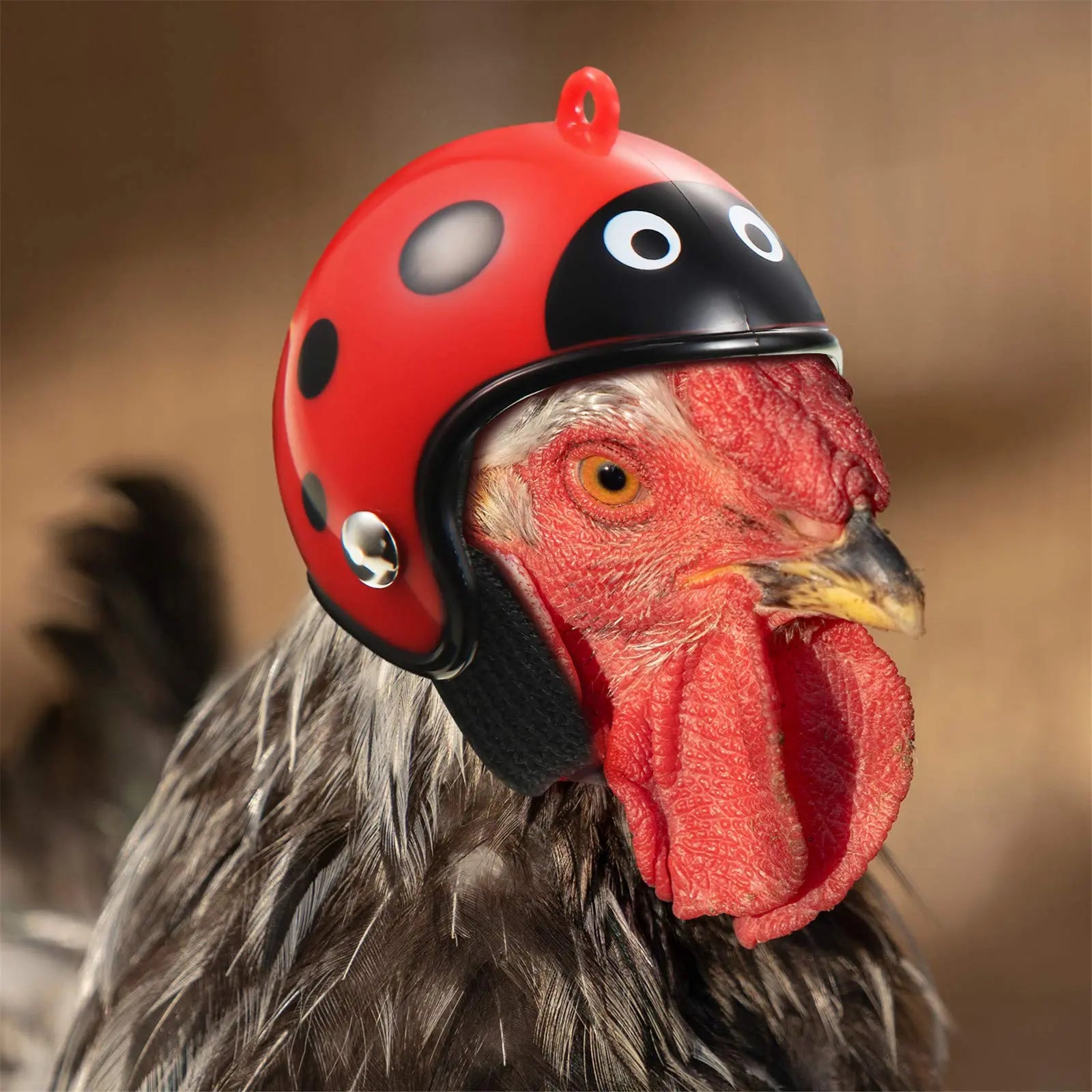 8-Piece Rainproof Chicken Hat Set - Stylish and Functional Protection Gear for Chickens and Parrots