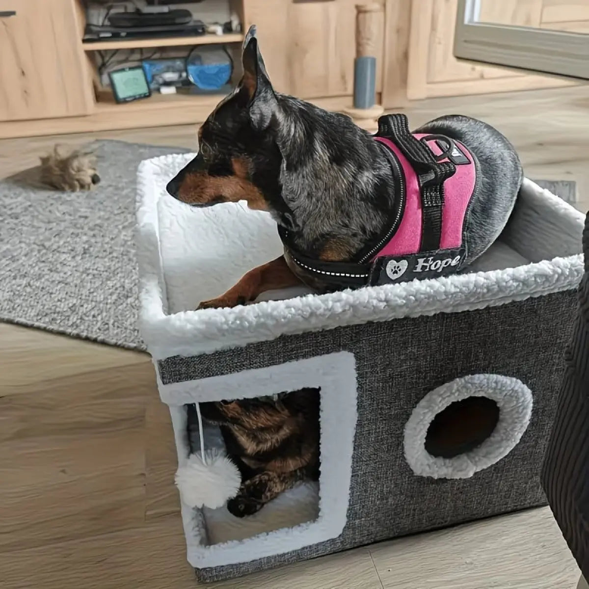 Indoor Cat Bed with Spacious Entry, Plush Hanging Toys, Round Windows, Foldable Design, Supports Up to 30 Pounds, Double-Sided Cushions, All-Season Comfort