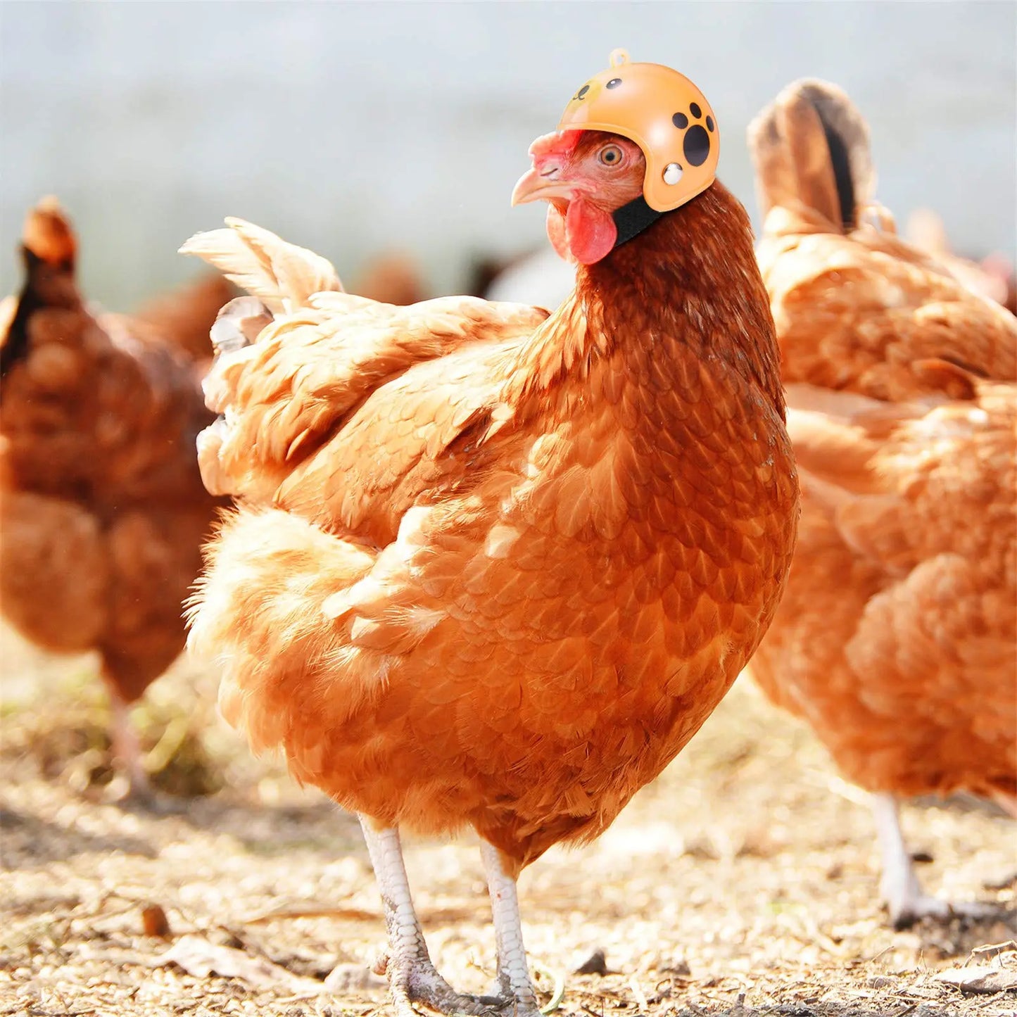 8-Piece Rainproof Chicken Hat Set - Stylish and Functional Protection Gear for Chickens and Parrots