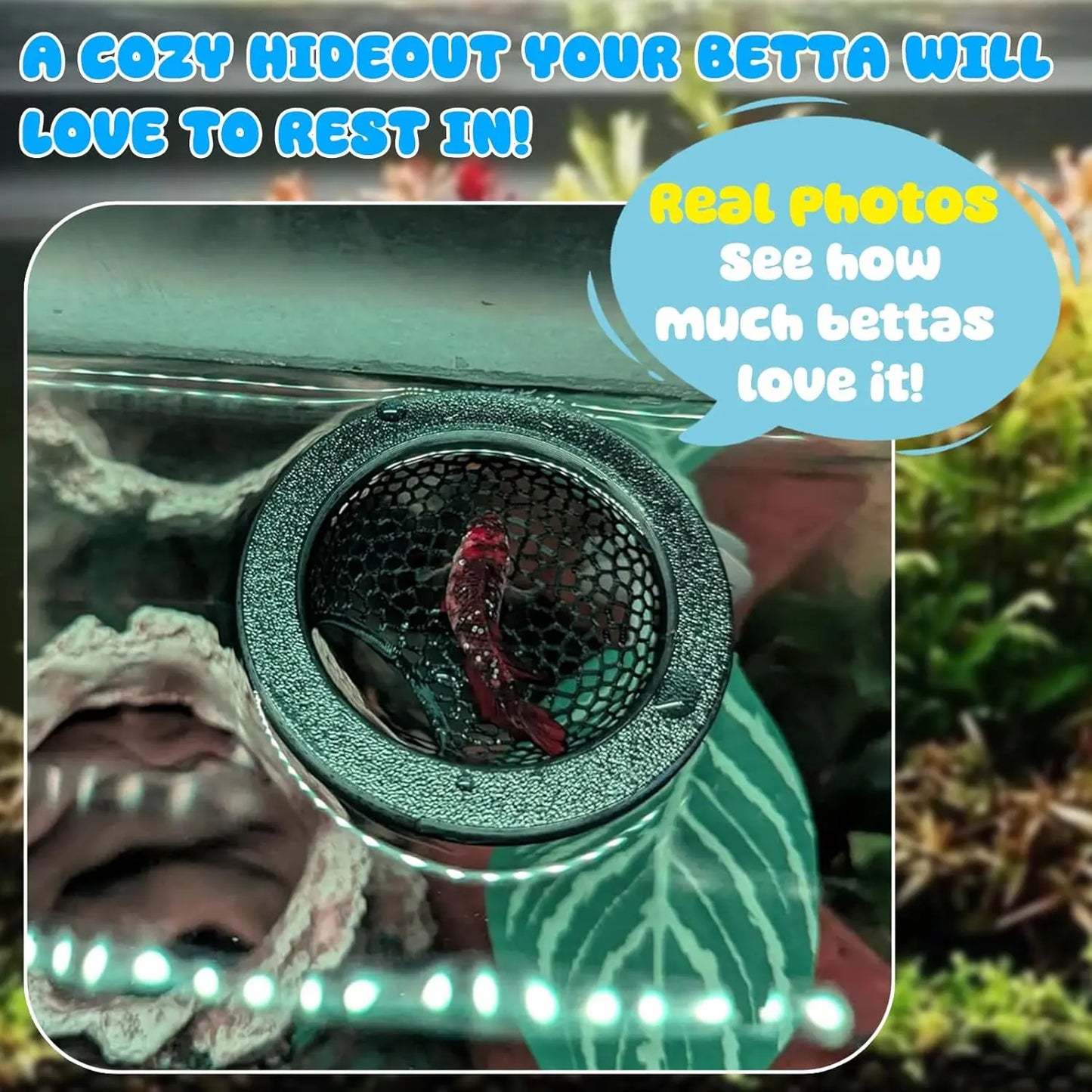 Floating Betta Habitat and Shrimp Cave – 3D Printed Aquarium Decor, Multi-Functional Hammock, Feeding Ring, and Secure Resting Area for Betta Fish, Shrimp, and Small Fish (Eco-Safe PETG Material)