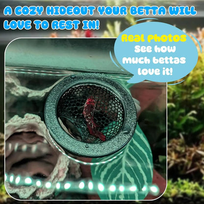 Floating Betta Habitat and Shrimp Cave – 3D Printed Aquarium Decor, Multi-Functional Hammock, Feeding Ring, and Secure Resting Area for Betta Fish, Shrimp, and Small Fish (Eco-Safe PETG Material)