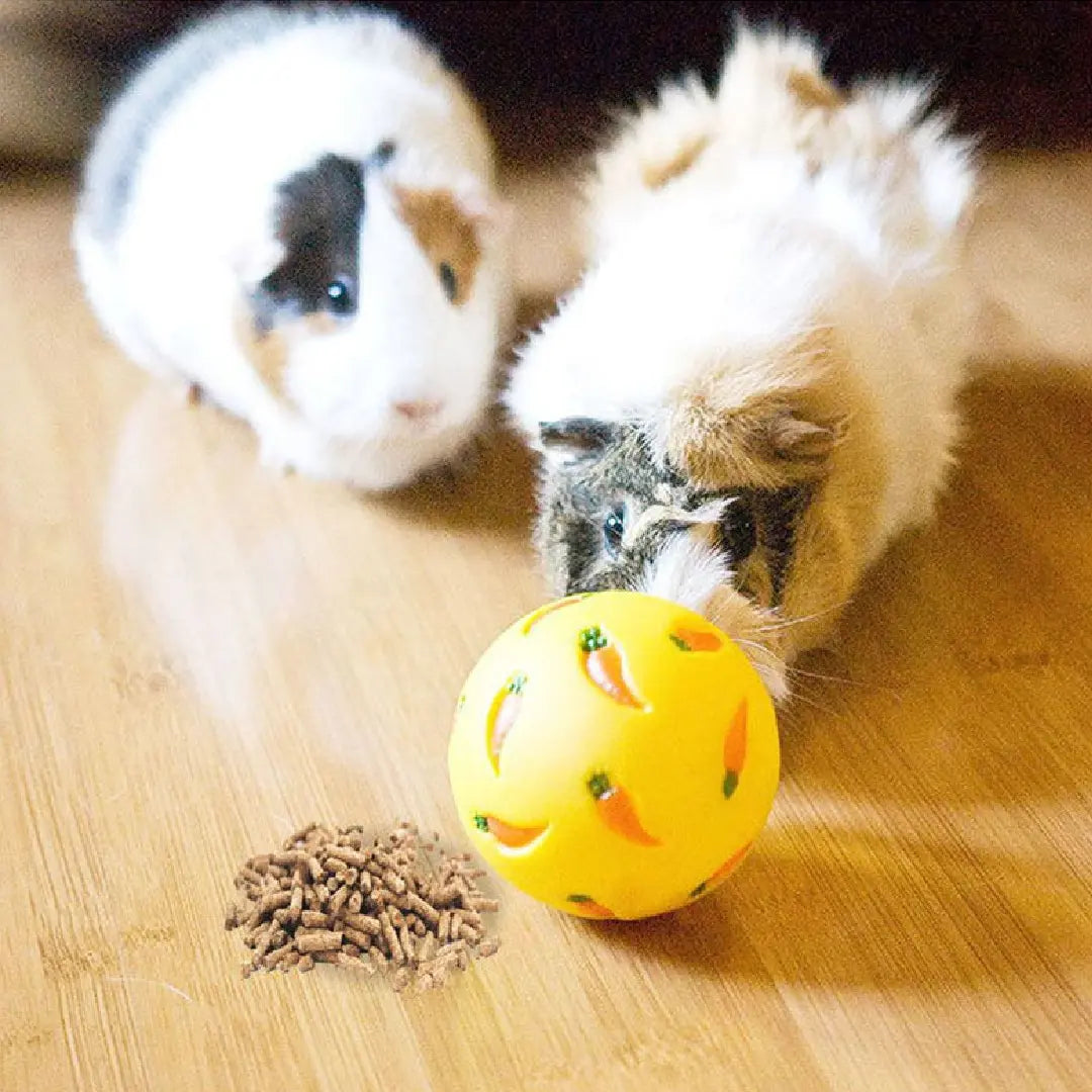 Rabbit Treat Dispenser Toy – Interactive Puzzle Slow Feeder Ball for Bunny, Guinea Pigs & Small Pets